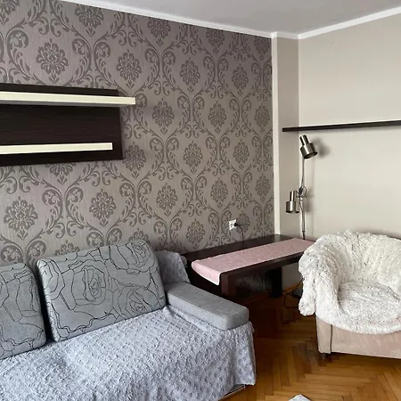 Cozy W Centrum Gliwic Apartament Gliwice