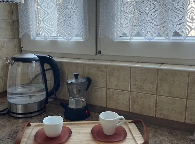 Cozy W Centrum Gliwic * גליביצ'ה